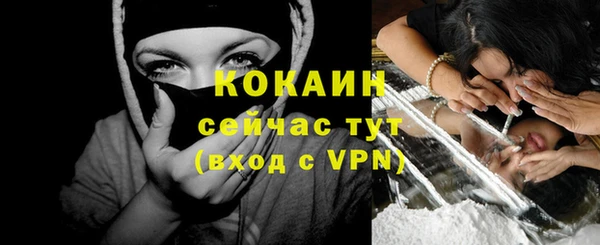 прущие грибы Нефтекумск