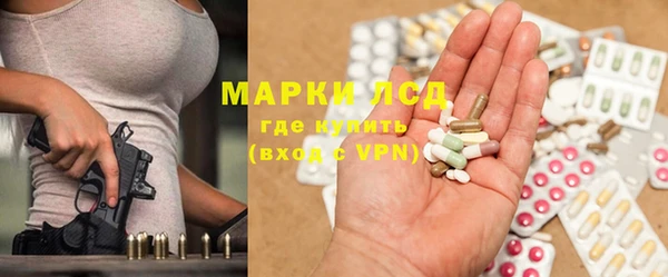 прущие грибы Нефтекумск