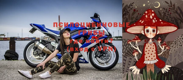 прущие грибы Нефтекумск