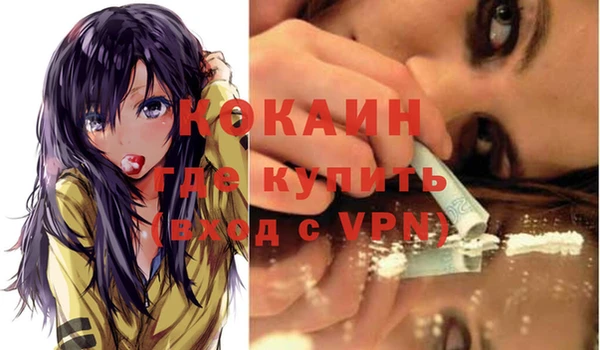 прущие грибы Нефтекумск