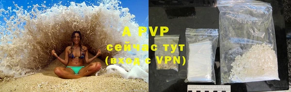 прущие грибы Нефтекумск